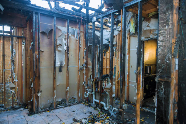 Professional Fire Damage Assessment technician working in Rockledge, PA
